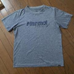 Marmot グレー Tシャツ　Mサイズ