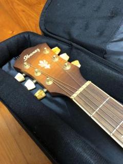 koji kiriyama様専用 アイバニーズ エレアコ