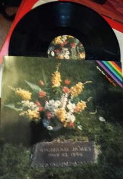Aphex Twinの貴重な12インチレコード4枚 新入荷情報】Aphex TwinのLP、12インチ入荷しました。