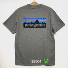 patagonia パタゴニア TシャツP-6 ロゴ レスポンシビリティー
