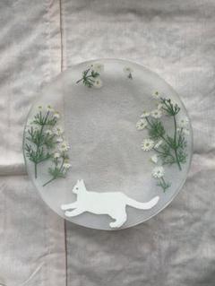石塚悠　ねこ　ガラス　皿　作家物