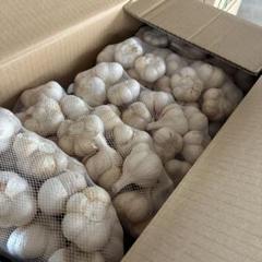 訳あり 青森県にんにく20Kg MS - メルカリ