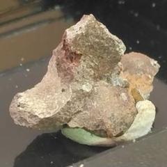 ✨世界に一つ✨天然石『セリウムシンキス石』鉱物標本 ノルウェー産 ソルモーセン