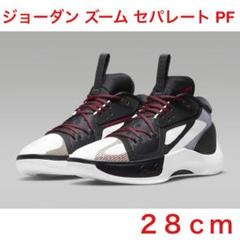 ジョーダン ズーム セパレート PF 28 cm NIKE