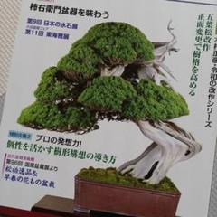 月刊　近代盆栽　2022年　5月号　未読品のサムネイル