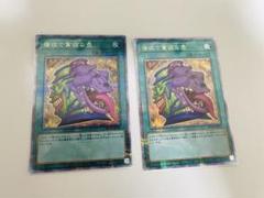 遊戯王OCG 強欲で貪欲な壺　25th 2枚セット