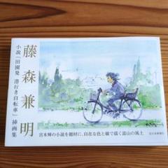 藤森兼明【アンドレーション・デミトリオス】希少画集画、状態良好 藤森兼明【アンドレーション・デミトリオス】希少画集画、状態良好