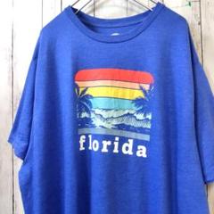 HOME Free florida ビッグサイズ Tシャツ ブルー 2XL 古着