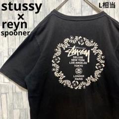 ステューシー レインスプーナー 半袖 Tシャツ M ワールドツアー フェード