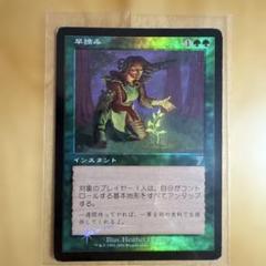 マジックザギャザリング MTG 緑 早摘み 7ED レア Foil マジックザギャザリング MTG 緑 早摘み 7ED レア Foil - メルカリ