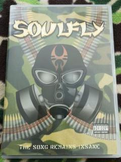 ソウルフライ/ SOULFLY メタル ミクスチャー スラッシュメタル