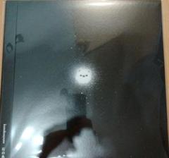 【新品未開封】カネコアヤノ 石の糸　LP アナログ盤　レコード