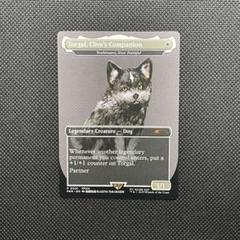 トルガル-Torgal, Clive's Companion - 永久忠義の義丸
