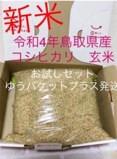 農薬不使用米】令和4年新米 コシヒカリ 玄米20キロ 10kg×2袋 送料込 ...