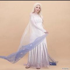 M*す様 Disneyコスプレ エルサ精霊ドレス、ウィッグ付き