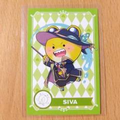 2025年最新】からぴち シヴァ 魔法学園 トレカの人気アイテム