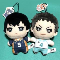 2025年最新】影山飛雄ぬいぐるみの人気アイテム - メルカリ