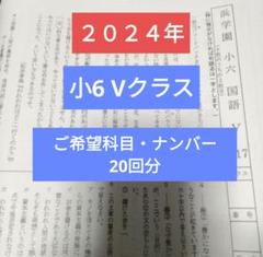 浜学園小６最新版2024年 算国理 ３科目 1年分 復習テスト 浜学園 小6 復習テスト Vクラス 算数 国語 理科 1年分 2023年度