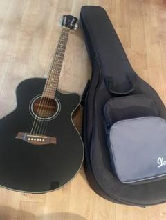 【希少】Ibanezアイバニーズ エレアコ純正ギグケース付アコースティックギター 61MNOG-ZhVL._UF894,1000_QL80_.jpg