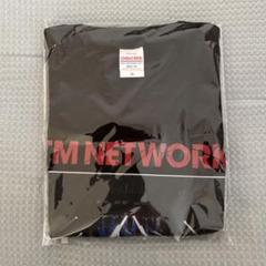 TM NETWORK 30th パンフレット TM NETWORK 30th 1984-- QUIT30 HUGE DATA 公式パンフレット