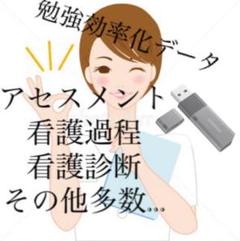 看護学生のためのデータ USB