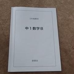 鉄緑会 高1数学発展講座Ⅰ/Ⅱ 前後期 テキスト・問題集 全