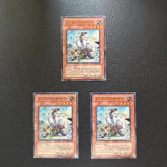 B6774 遊戯王 大量セット　スクラップリサイクラー　計100枚 遊戯王 デッキレシピ 詳細 | 遊戯王ニューロン ( オフィシャル
