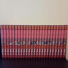 フェアリーテイル 1〜24巻セット FAIRY TAIL(24) (少年マガジンコミックス) | 真島 ヒロ |本