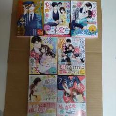 7月新刊　ベリーズ文庫6冊＆ベリーズ文庫with2冊 7月新刊 ベリーズ文庫6冊＆ベリーズ文庫with2冊 - メルカリ