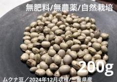 無肥料無農薬自然栽培　むくなまめ 大阪産 生ムクナ豆 300g 八升豆 無農薬 無化学肥料 無除草剤