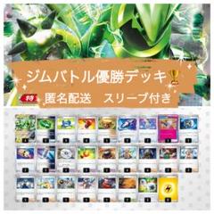 ジムバトル優勝デッキ　テツノイバラex