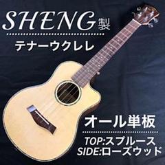 プロ調整品】BWS製 マホガニー・コンサート・ウクレレ【入門セット プロ調整品】BWS製 マホガニー・コンサート・ウクレレ【入門セット
