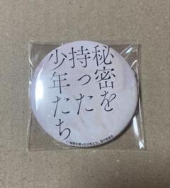 レア】龍宮城 秘密を持った少年たち 缶バッジ - メルカリ