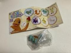 ポケモンコレクション　ゼニガメ