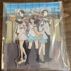 阪神タイガースコラボ枠付きアクリルスタンド涼宮ハルヒの憂鬱 公式】阪神タイガースグッズ情報 on X: 