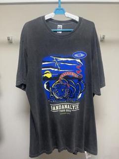 406【未使用・美品】チャレンジャー コウモリ ビッグロゴ Tシャツ 希少XL 406【未使用・美品】チャレンジャー コウモリ ビッグロゴ T