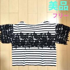 【美品】ストライプ柄レースTシャツ フリーサイズ