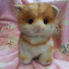 レトロ サンリオ 1981 ぬいぐるみ 猫 ねこ ネコ 当時物 年代物 希少 レトロ サンリオ 1981 ぬいぐるみ 猫 ねこ ネコ 当時物 年代物 希少