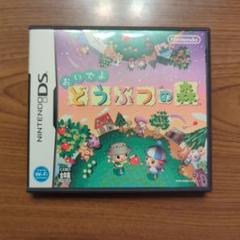 おいでよどうぶつの森
