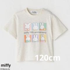 【新品タグ付き】ミッフィー 70周年 Tシャツ 半袖 120cm
