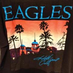 未使用に近いEAGLES カリフォルニア Tシャツ 半袖 黒