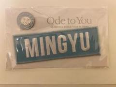 SEVENTEEN セブチ Ode to You ディノ ネームワッペンバッジ