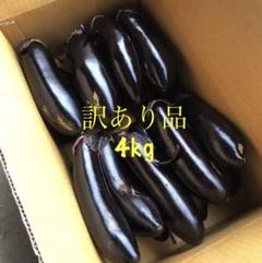 朝どり❣️茄子 訳あり品 4kg