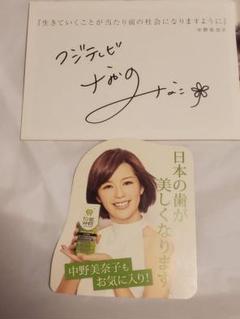 中野美奈子　直筆サイン入りフォトブック　フジテレビアナウンサー　女子アナ　非売品 中野美奈子 直筆サイン入りフォトブック フジテレビアナウンサー