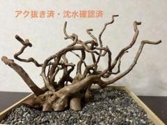 2025年最新】ブランチ 流木の人気アイテム - メルカリ
