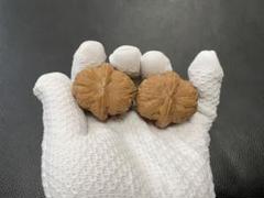 蛤蟆头（三角蛙4） 文玩クルミ胡桃 金蟾蛤蟆头文玩核桃狮子头延庆一代老树精配蛙