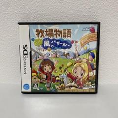 【DS】牧場物語 ようこそ!風のバザールへ
