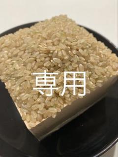 maru◎　玄米20キロ【農家直送！】新潟県産こしいぶき　6年産 maru◎様専用 玄米20キロ【農家直送！】新潟県産こしいぶき 6
