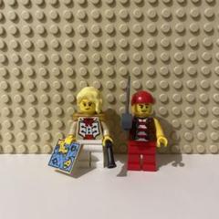 LEGO 21358 ミニフィグのサムネイル