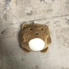 NCT ヘチャン ぬいぐるみ 3点セット コムヒョギ ラテヒョギ 7cmぬい Amazon.co.jp: NCT ヘチャン ぬいぐるみ イコムド : おもちゃ